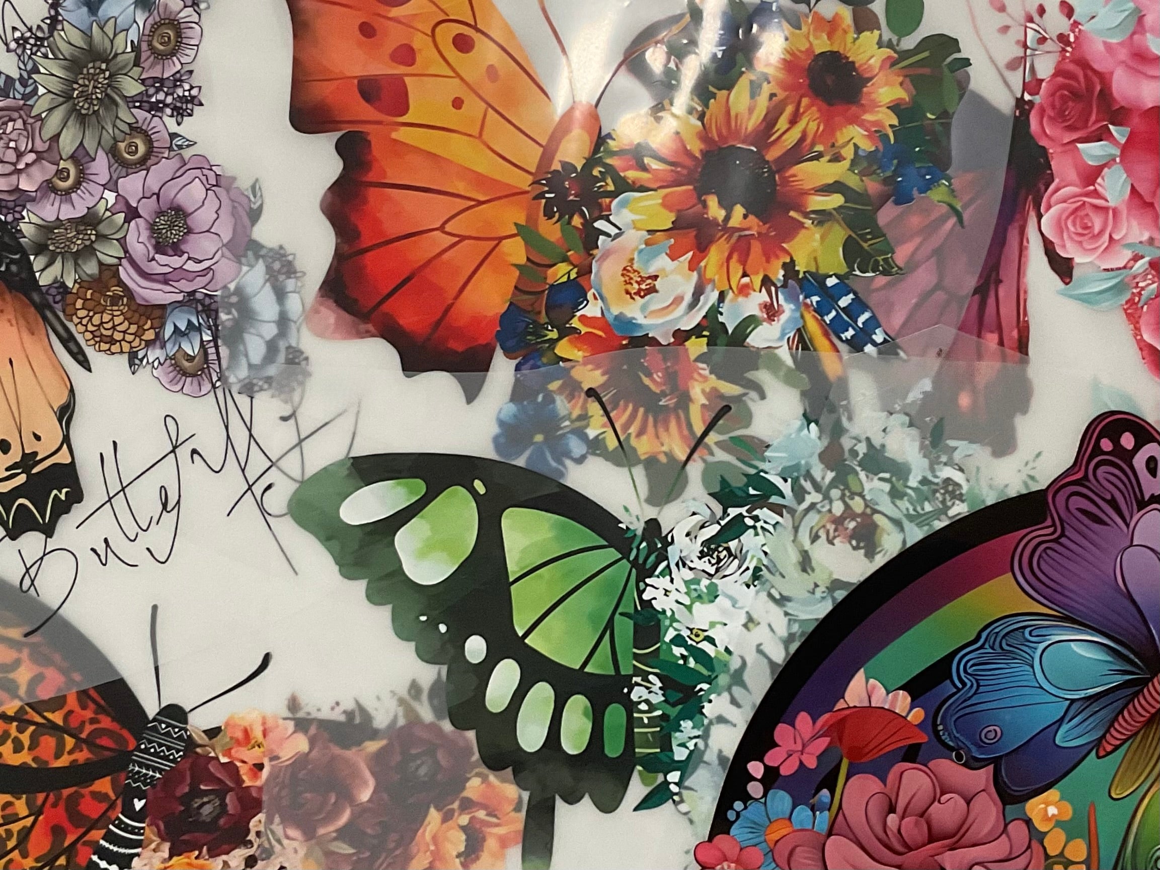 Butterflies